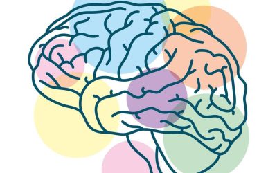 Nuevo servicio externo de neuropsicología clínica